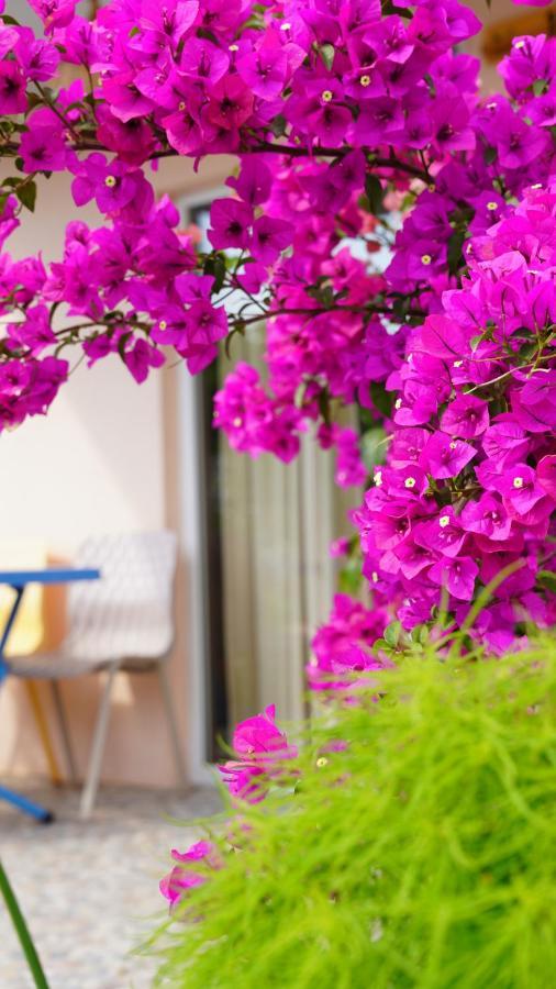 Bed and Breakfast Yelken Bungalov Milas Exterior foto